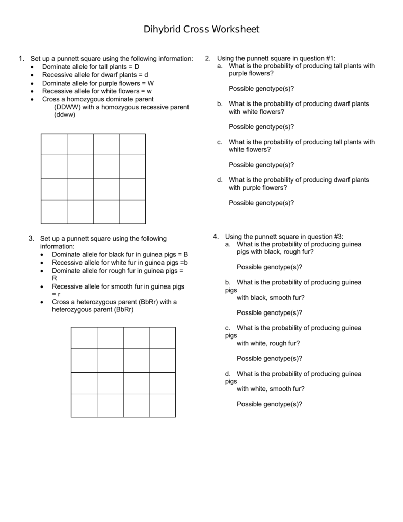 Dihybrid Cross Worksheet Genetics Practice