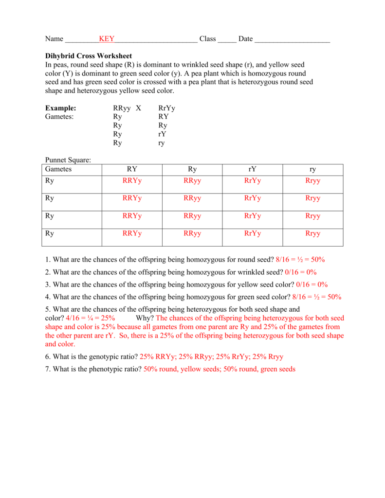 Dihybrid Cross Worksheet Genetics Practice