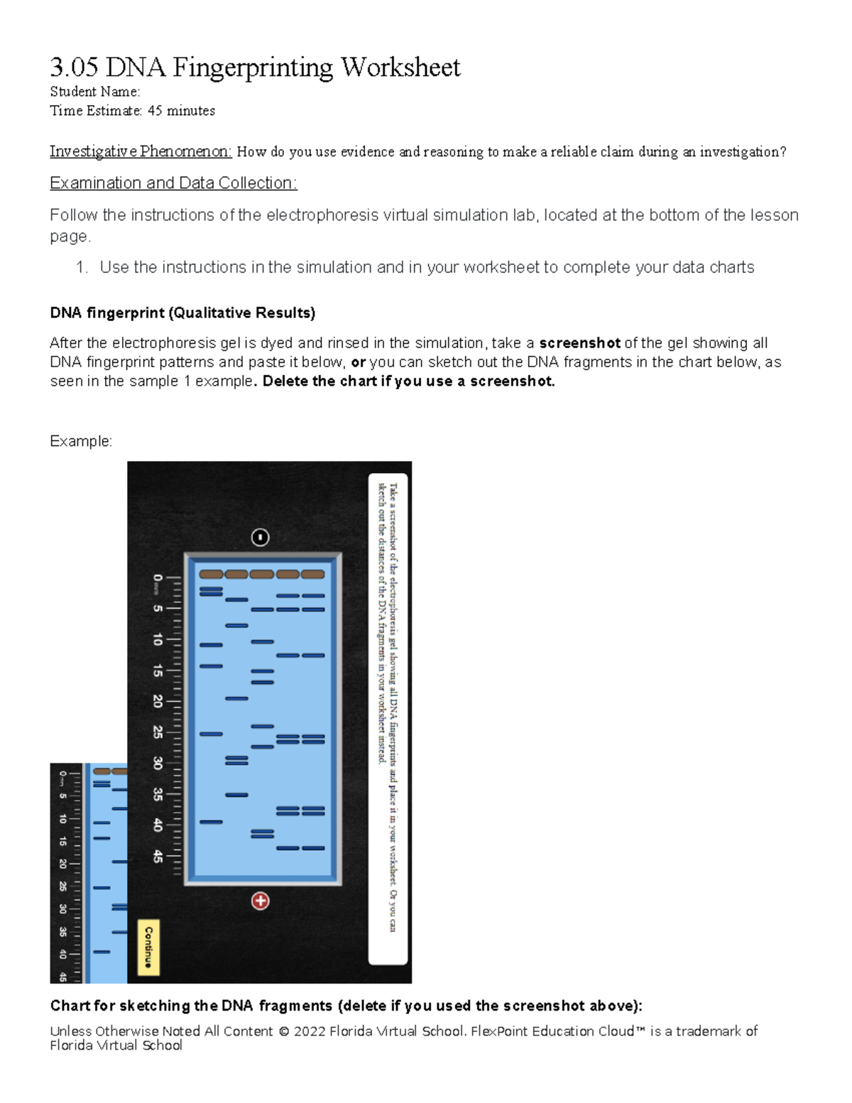 DNA Fingerprinting Worksheet 3 Electrophoresis Simulation Insights Studocu