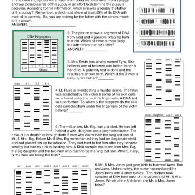 DNA Fingerprinting Worksheet Answers Course Code DNA101 Studocu