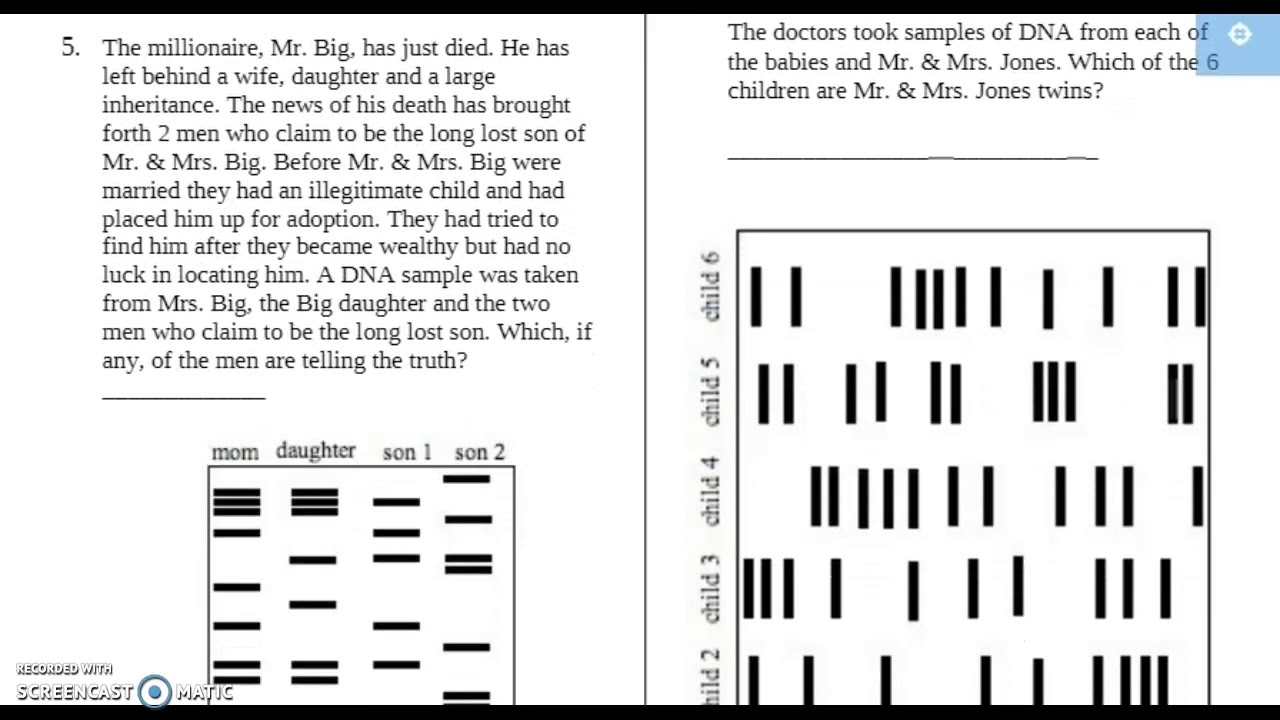 DNA Fingerprinting Worksheet Ms P Teach Me YouTube