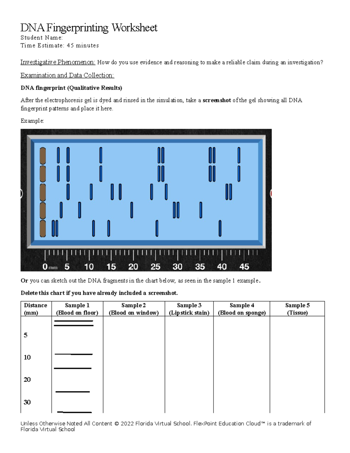 DNA Fingerprinting Worksheet O Investigation And Analysis Guide Studocu