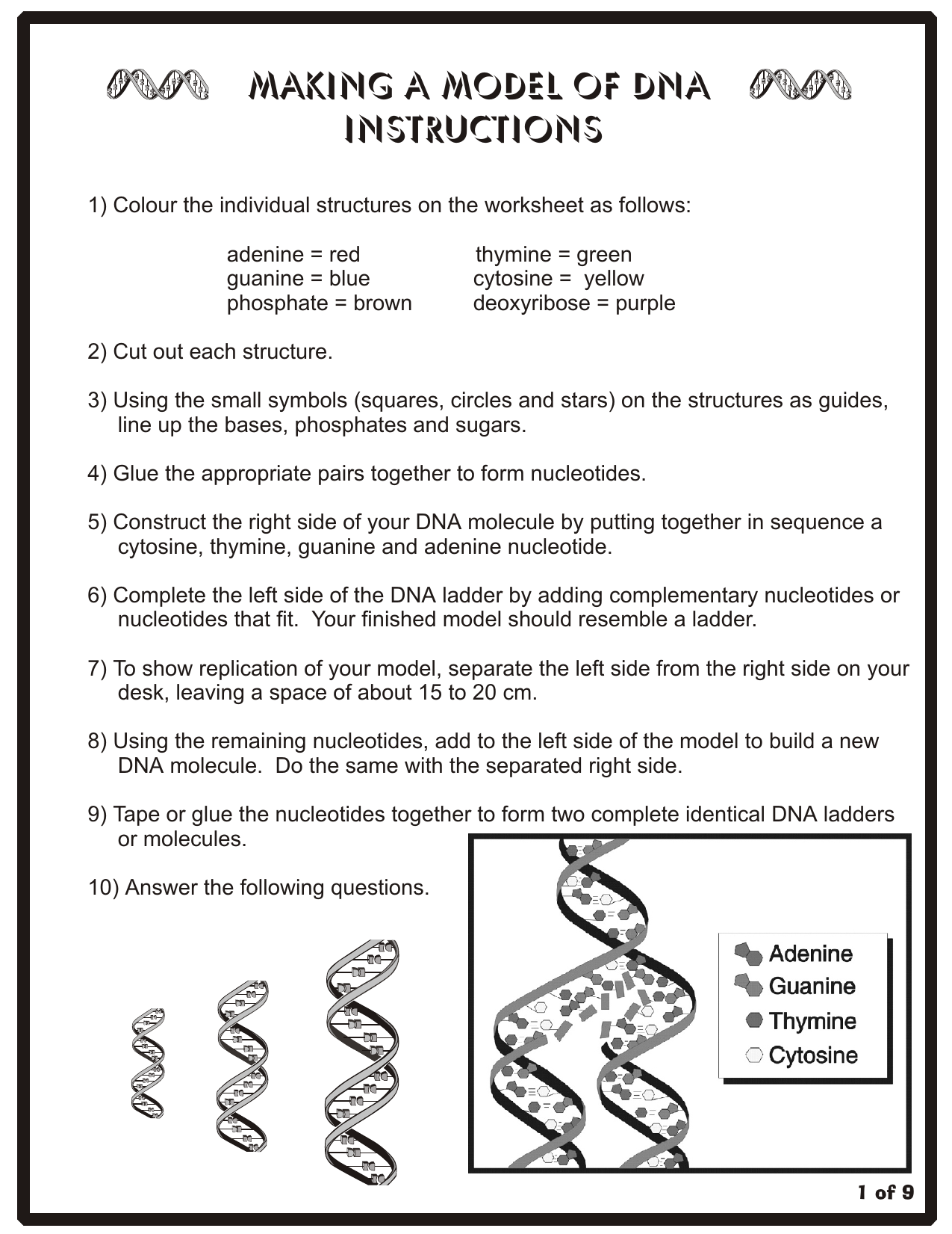dna structure worksheet answer key