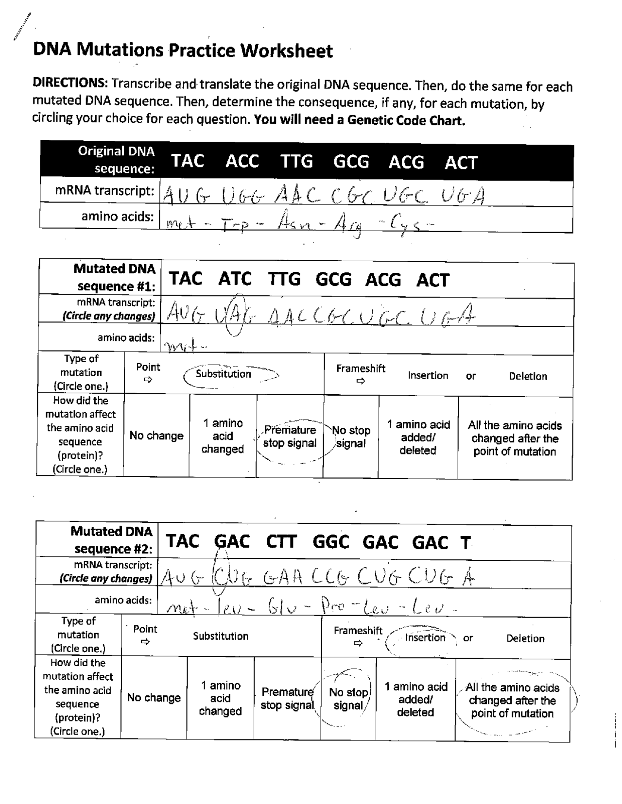DNA Mutation Practice Worksheet Exercises Genetics Docsity DNA Mutation Practice Worksheet Exercises Genetics Docsity