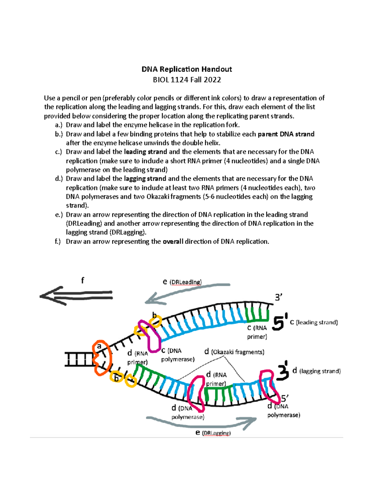 dna replication worksheet answers dna replication worksheet answers