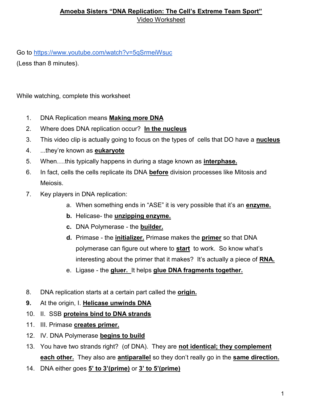 DNA Replication Worksheet Amoeba Sisters Video Guide DNA Replication Worksheet Amoeba Sisters Video Guide