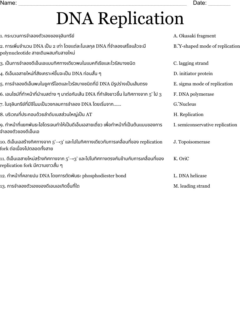 DNA Replication Worksheet WordMint