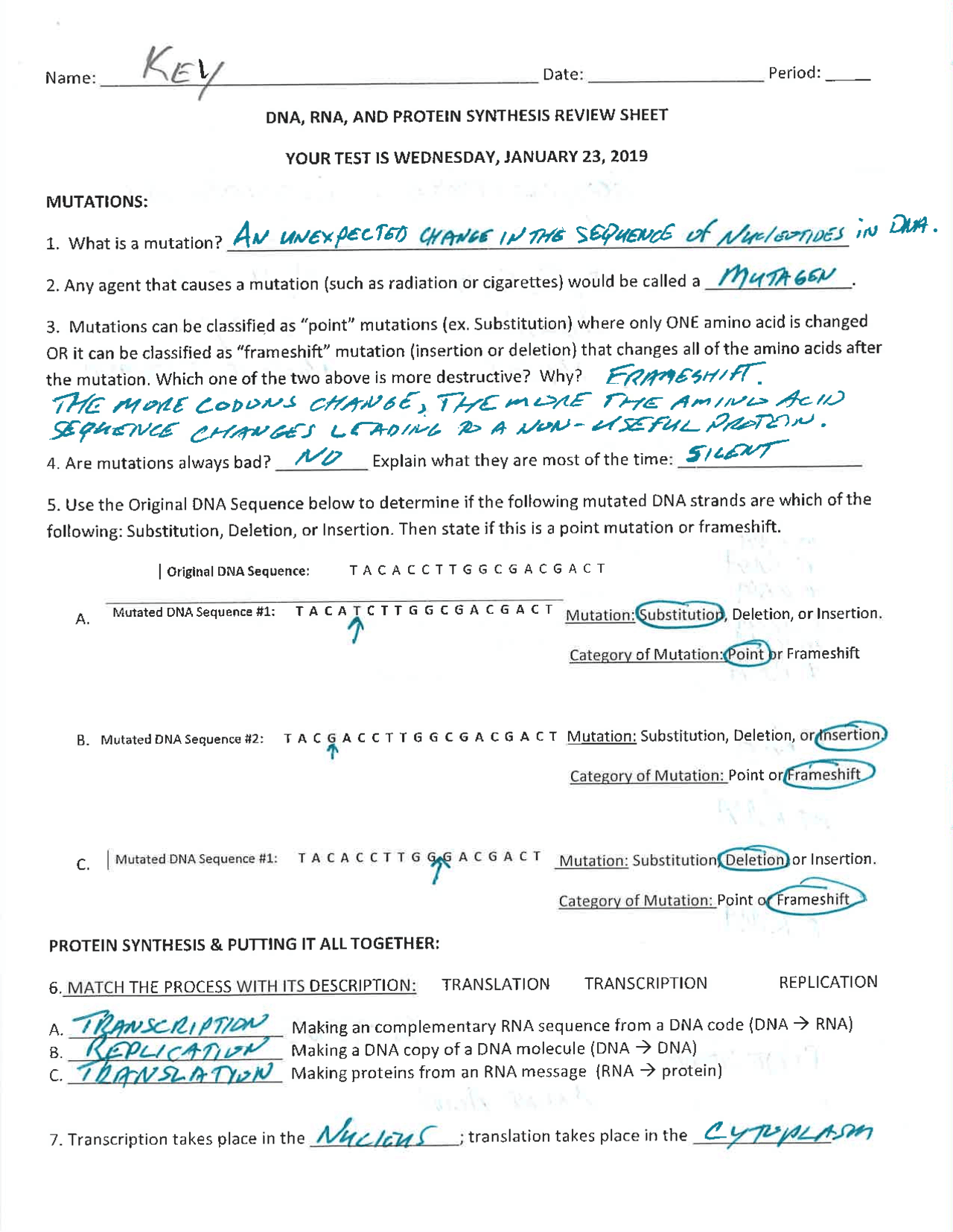 protein synthesis worksheet answers pdf protein synthesis worksheet answers pdf