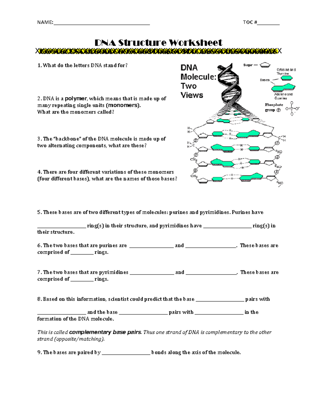 DNA Structure Worksheet Key Concepts And Questions Studocu