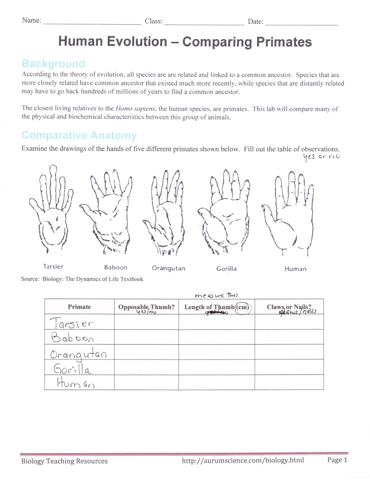 Dr Gayden s Biology Class November 2015