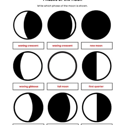 Easy Phases Of The Moon Worksheet Fun PDF Print Activity with Answer Key Etsy Israel