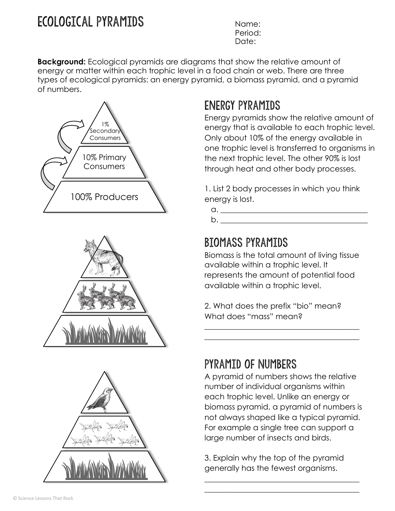 Ecological Pyramids Worksheet Energy Biomass Numbers Ecological Pyramids Worksheet Energy Biomass Numbers