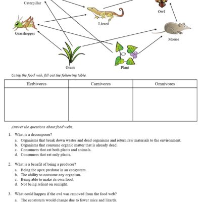 Ecology Food Web And Ecological Pyramids Worksheets Teaching Resources