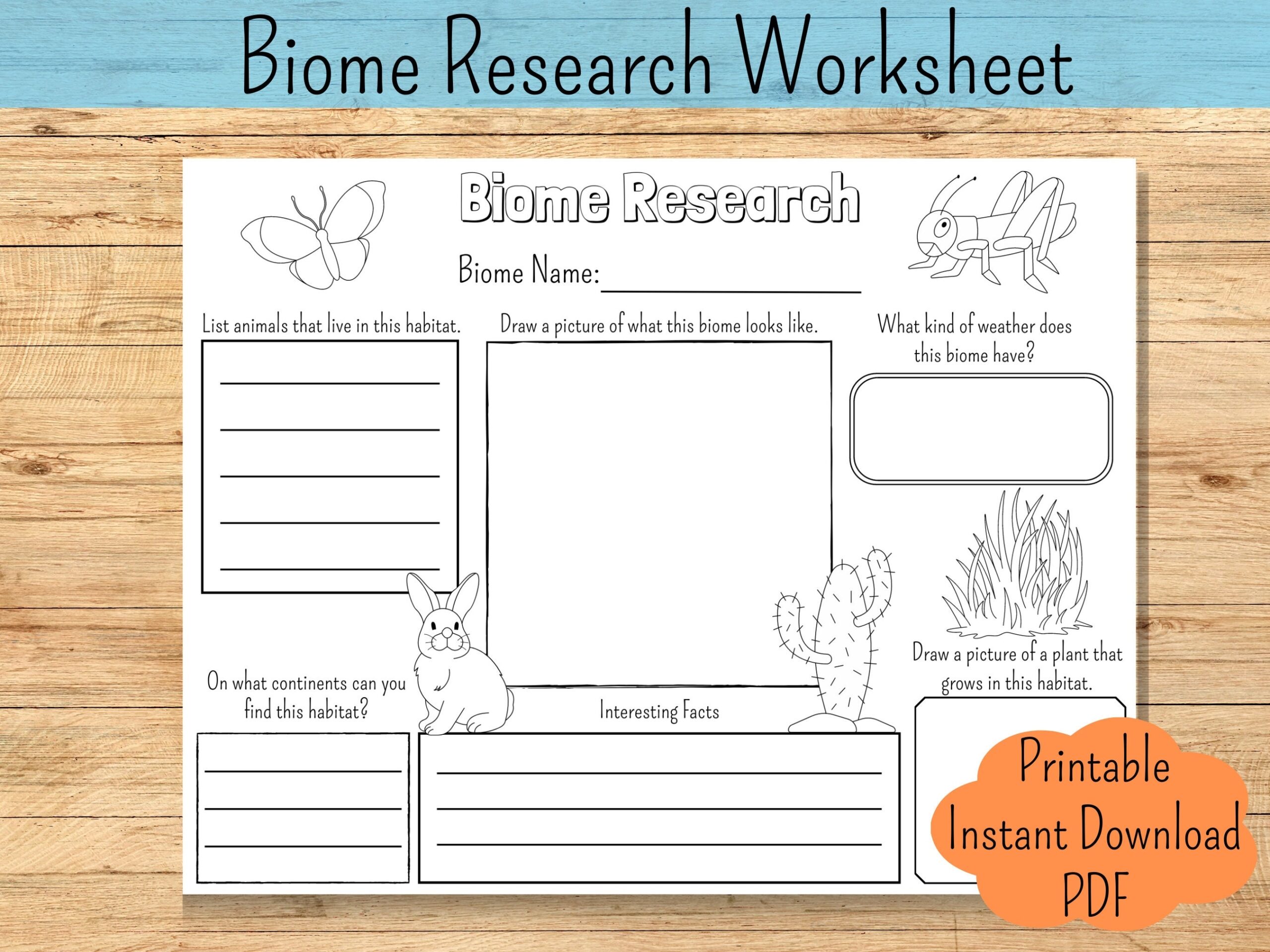 Ecosystem Research Report Worksheet Homeschool Science PDF Etsy