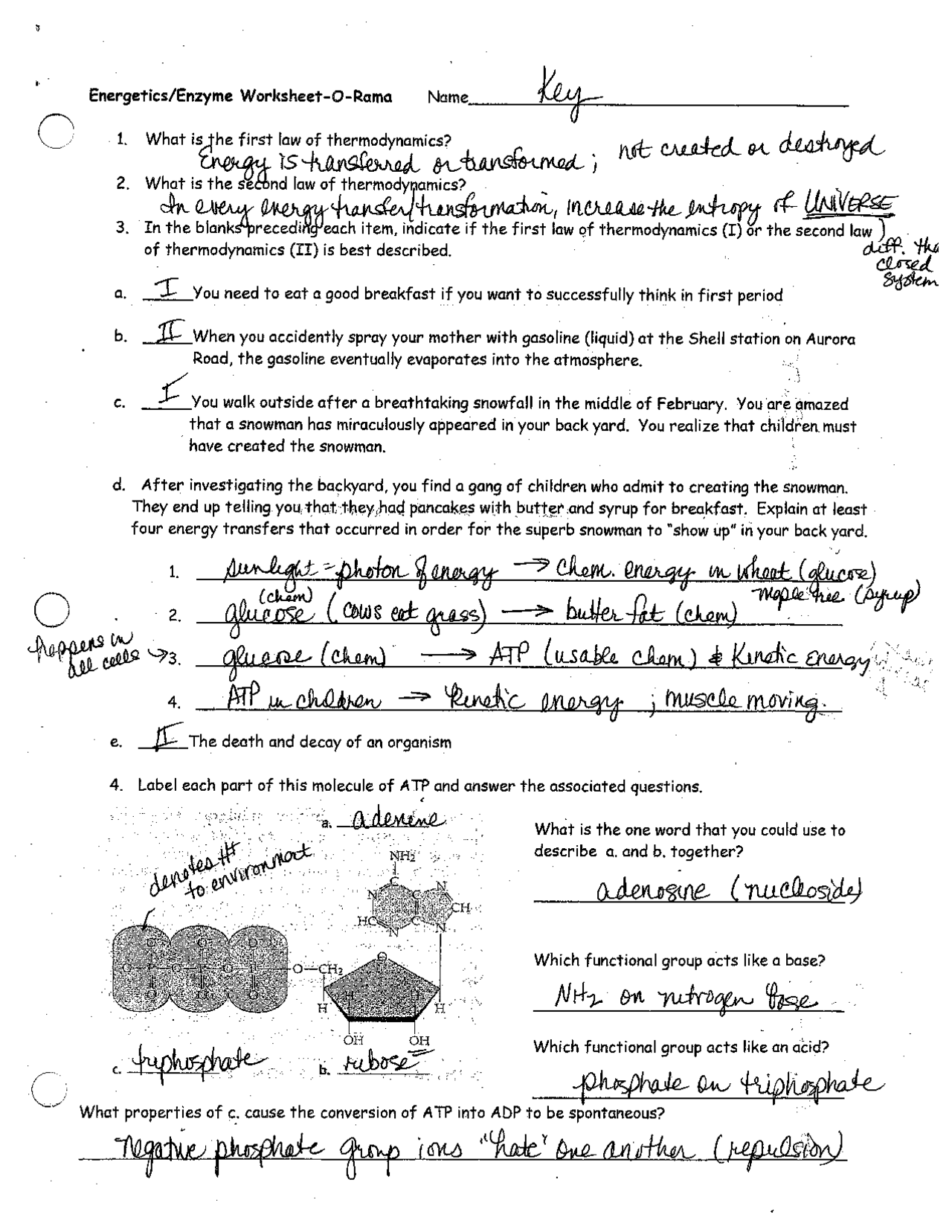 Energetics And Enzyme Worksheet Answers Exercises Biochemistry Docsity