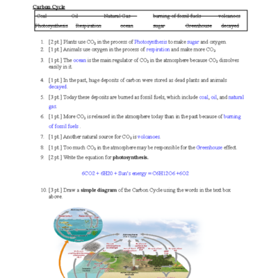 ENSP 2000 Biogeochemical Cycles Worksheet Concepts Questions Studocu