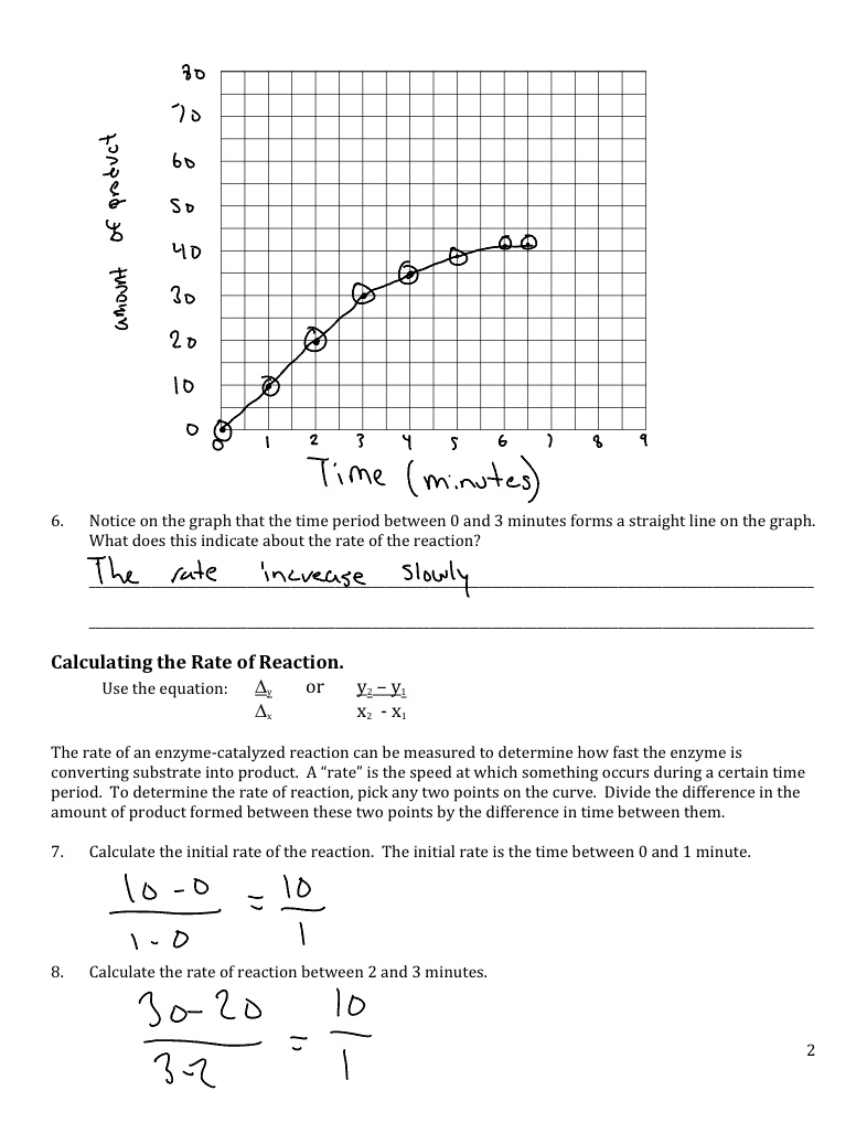 Enzyme Graphing Lab Notability Gallery Enzyme Graphing Lab Notability Gallery