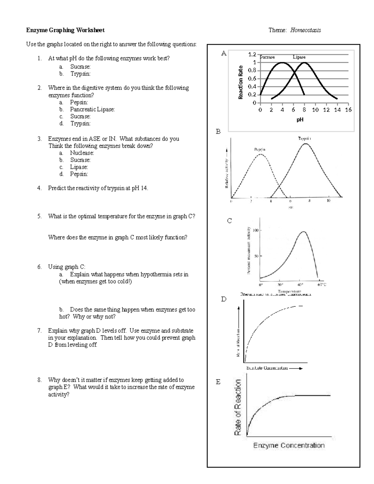 Enzyme Graphing Worksheet Homeostasis Analysis And Questions Studocu Enzyme Graphing Worksheet Homeostasis Analysis And Questions Studocu