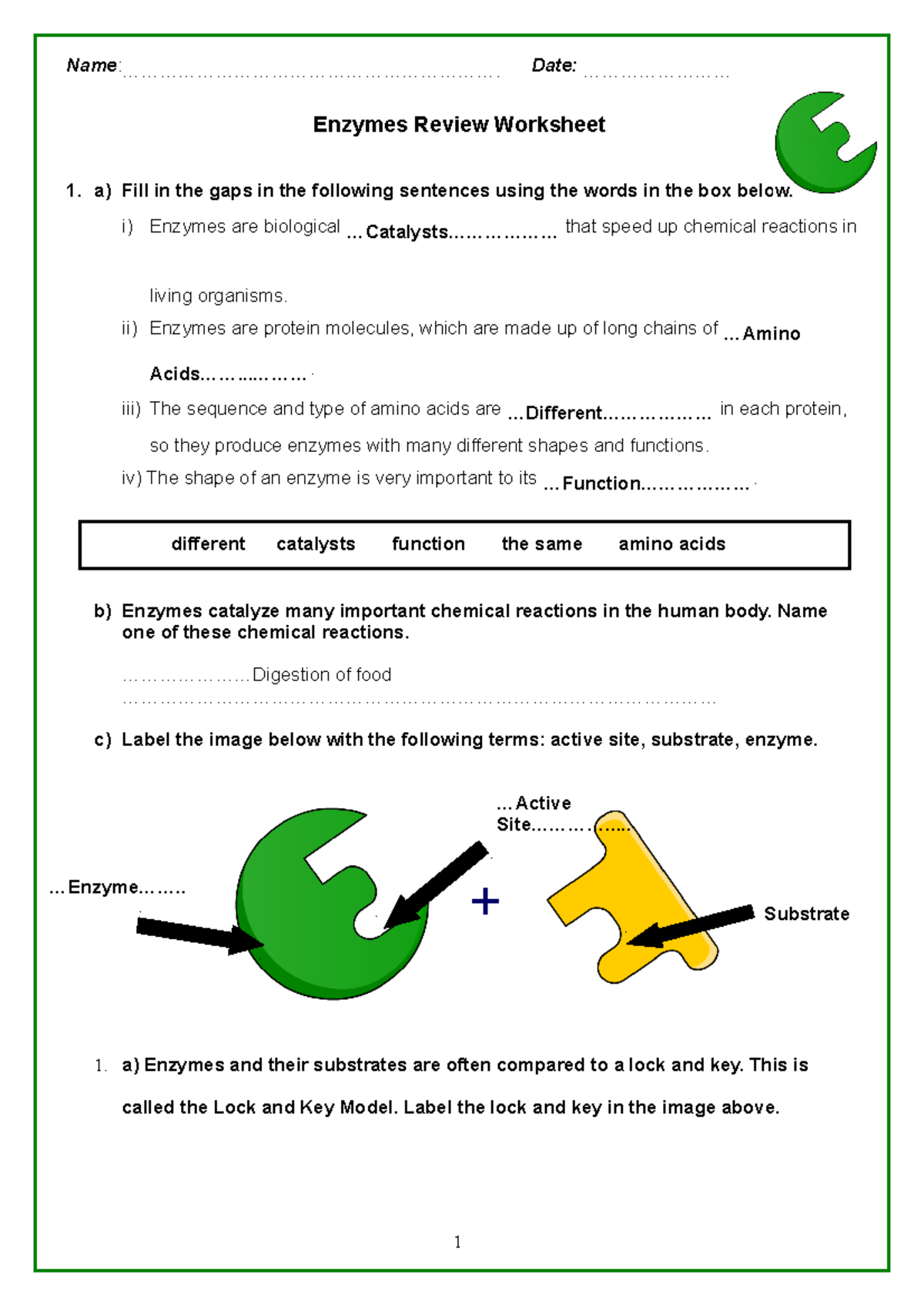 Enzymes Review Activity Key For Bio 101 Understanding Their Role Studocu Enzymes Review Activity Key For Bio 101 Understanding Their Role Studocu