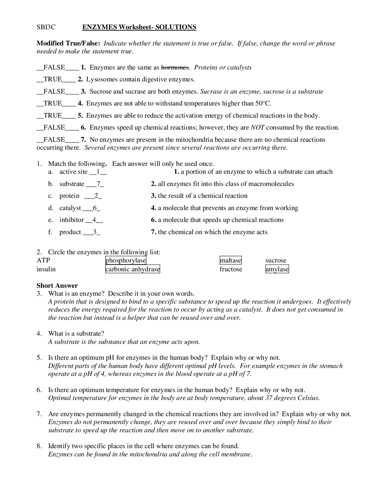 Enzymes Worksheet With Answer Key Exercises Biochemistry Docsity Enzymes Worksheet With Answer Key Exercises Biochemistry Docsity