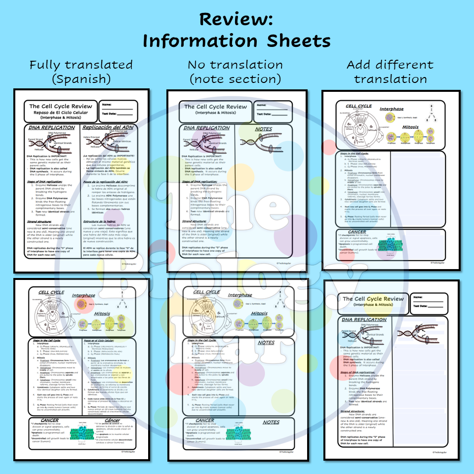 ESL Biology Cell Cycle Mitosis Review And Test Made By Teachers