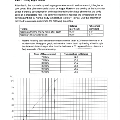 Estimating The Time Since Death Worksheet Key Exercises Forensics Docsity