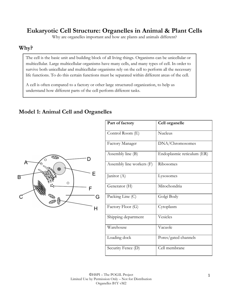 cells and organelles worksheet answer key cells and organelles worksheet answer key