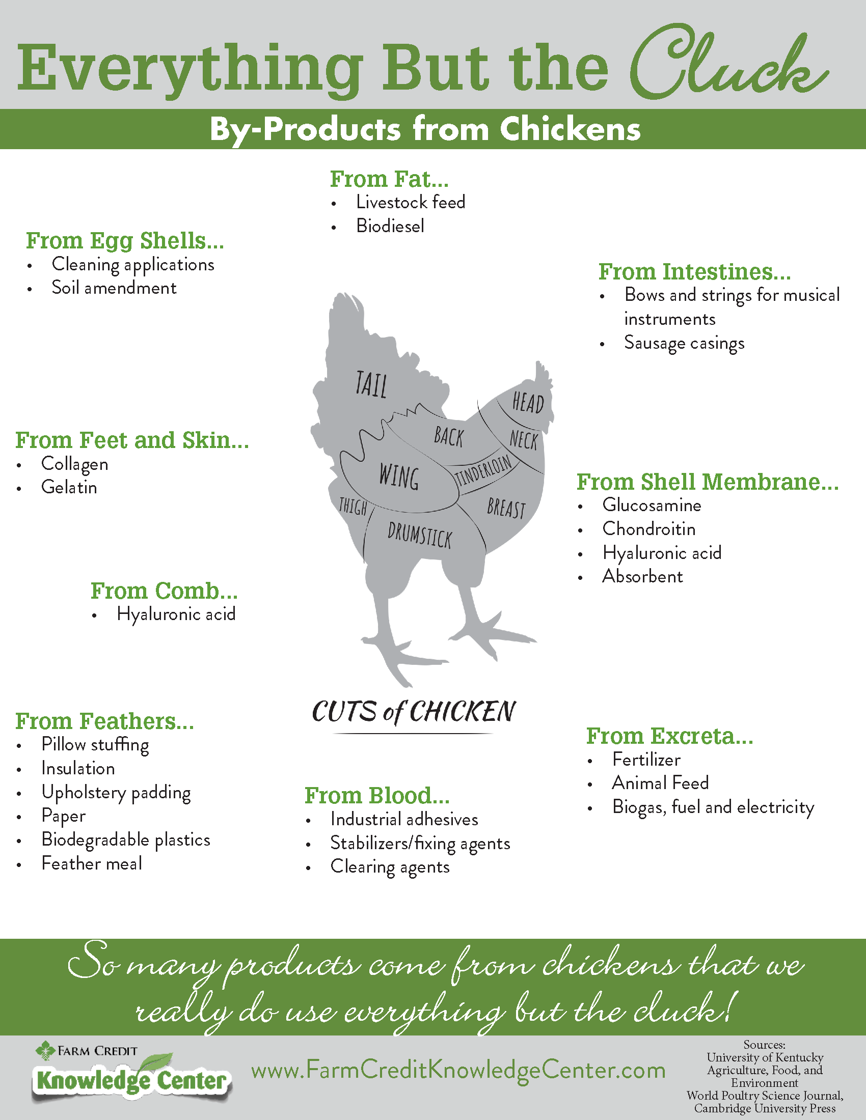 Everything But The Cluck Everything But The Cluck