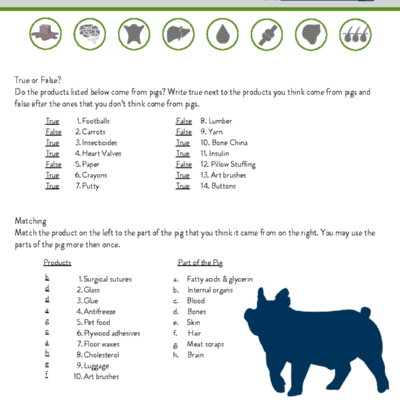 Everything But The Oink Pigs By products Answer Key Studocu