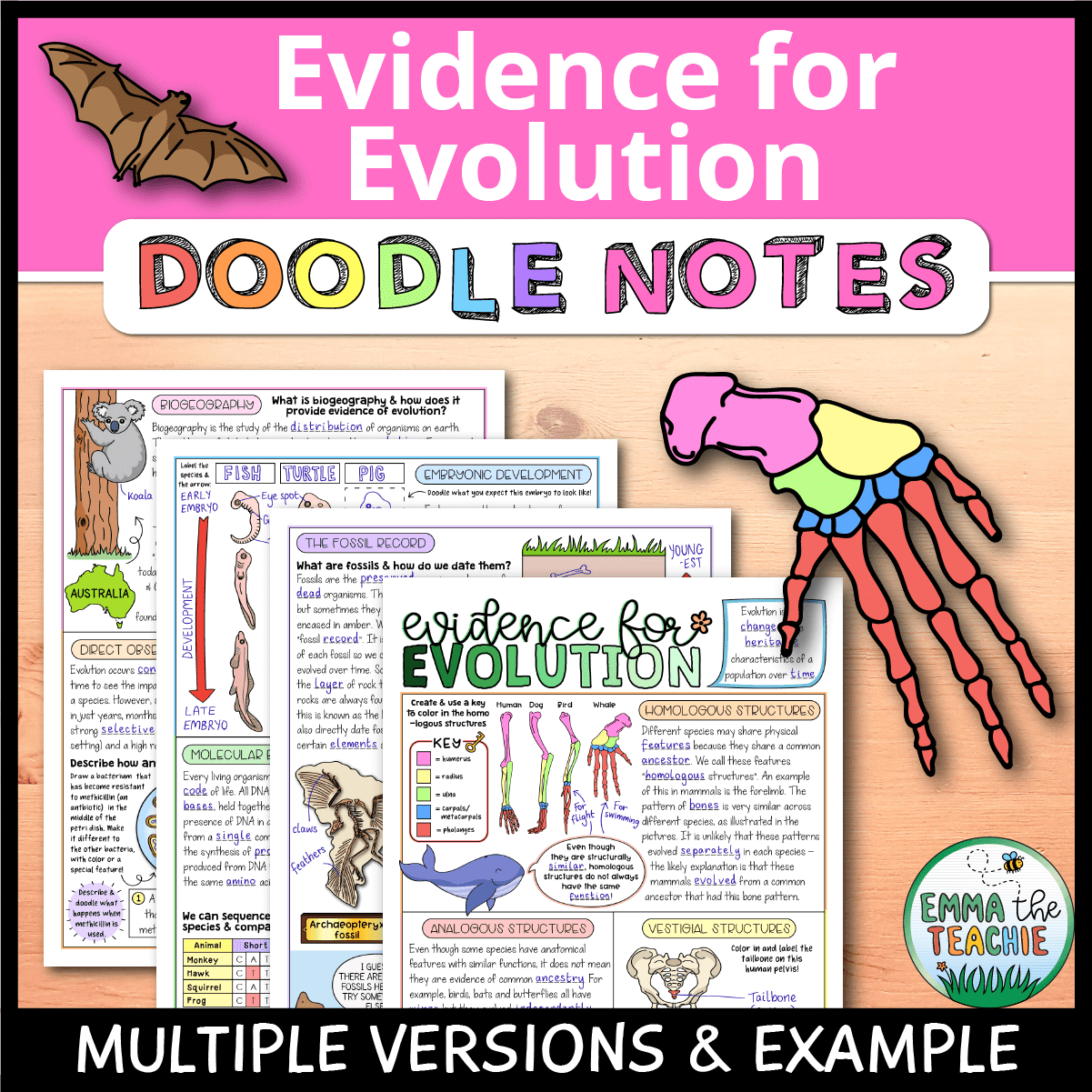 evidence for evolution worksheet answers evidence for evolution worksheet answers