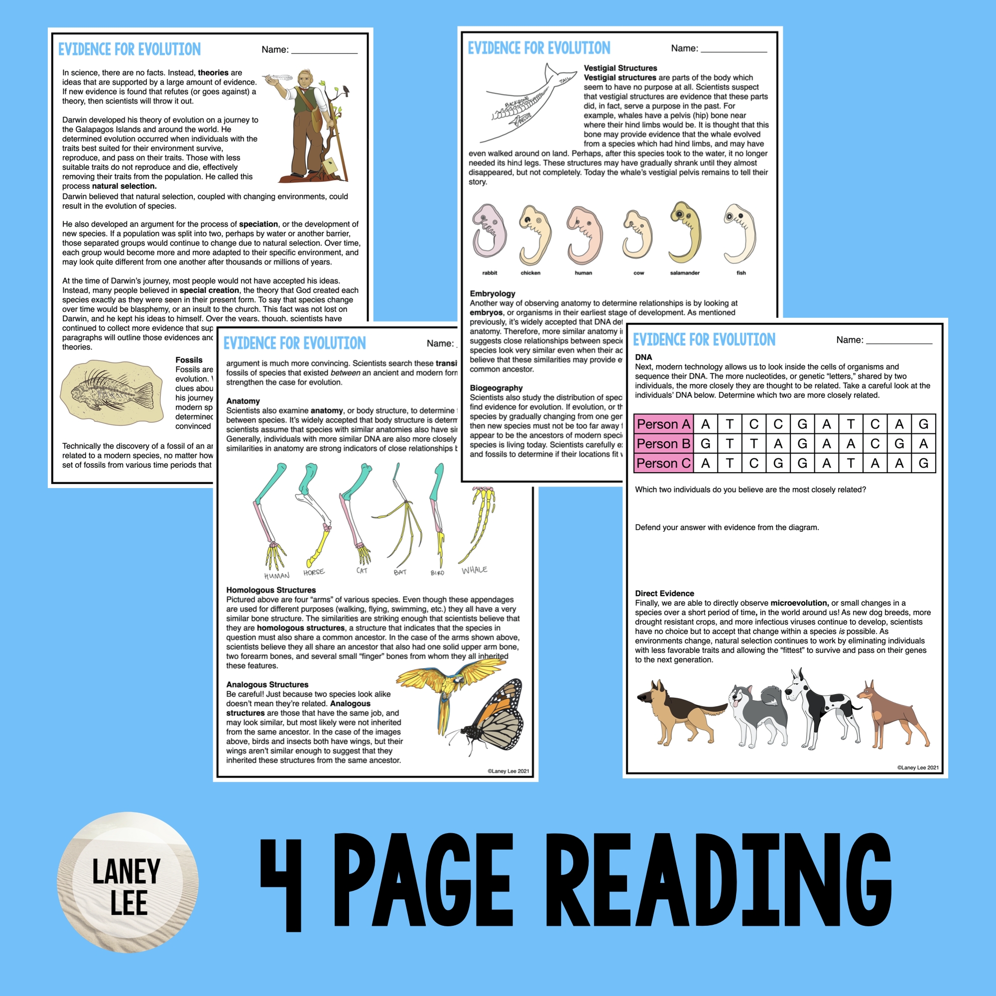 Evidence For Evolution Reading Comprehension Worksheets Evidence For Evolution Reading Comprehension Worksheets