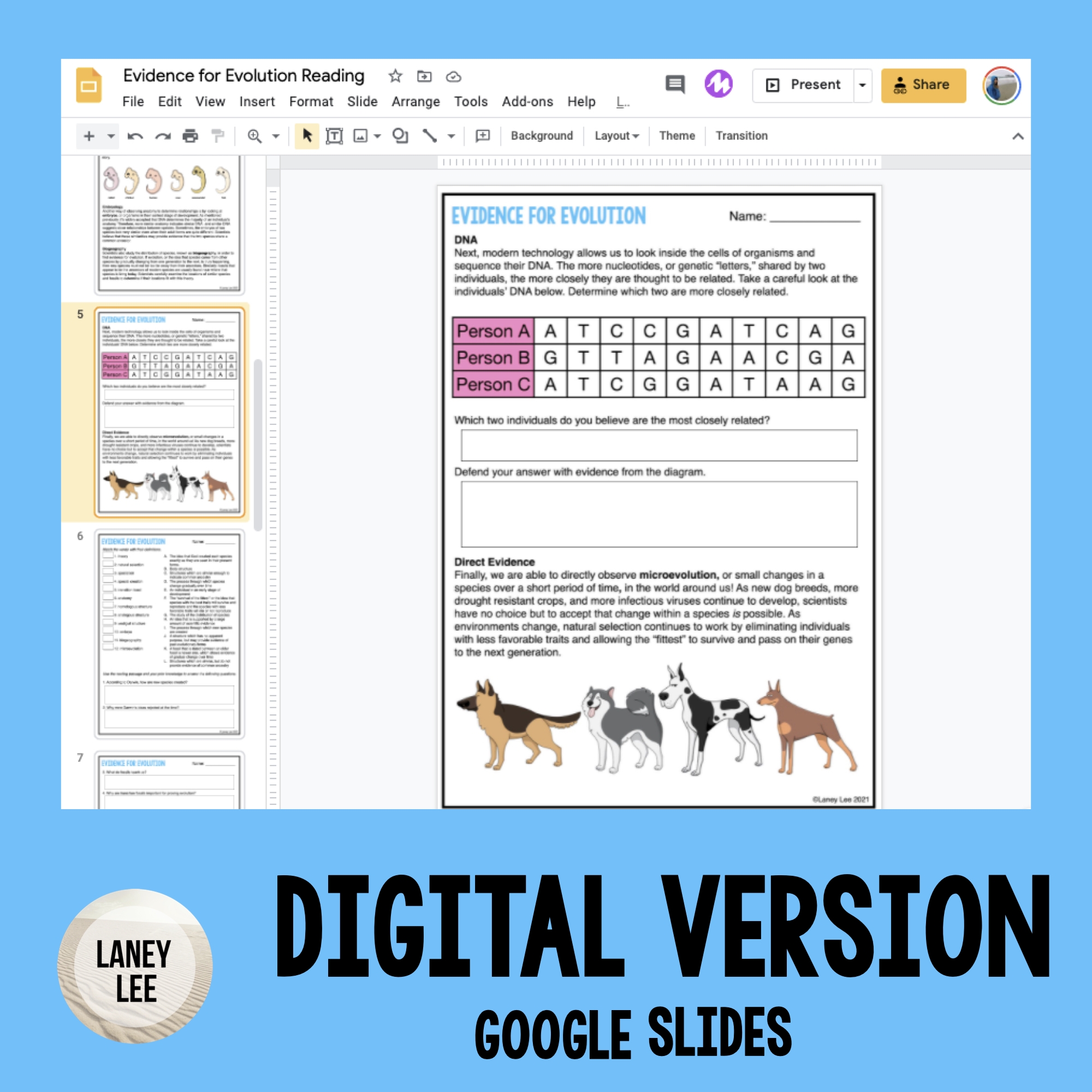 Evidence For Evolution Reading Comprehension Worksheets