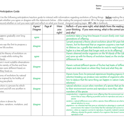Evolution Anticipation Guide Worksheet