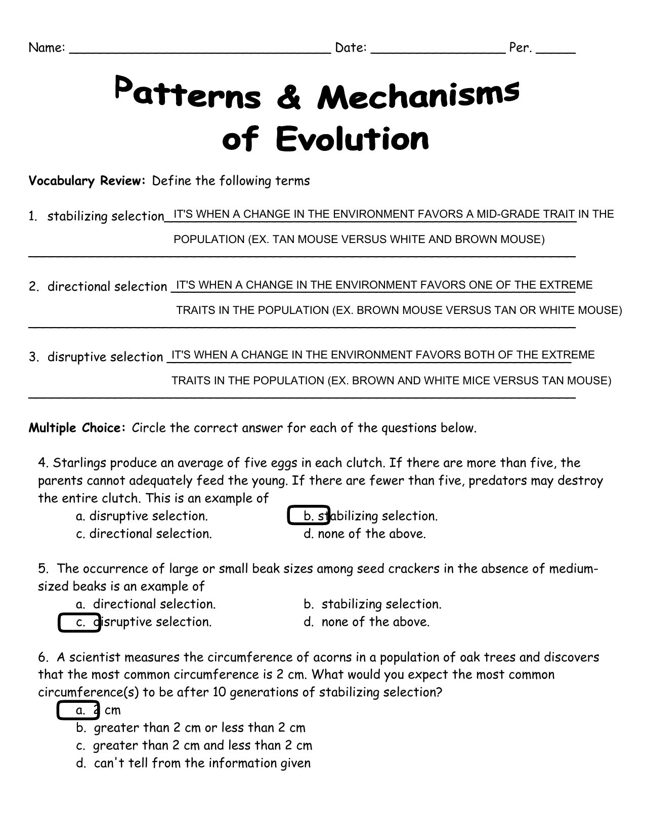 Evolution Patterns Mechanisms Worksheet High School Biology Evolution Patterns Mechanisms Worksheet High School Biology