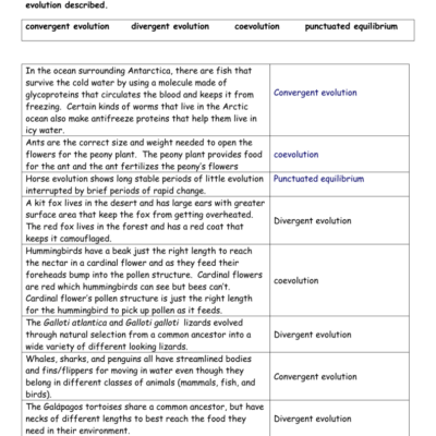 Evolution Types Worksheet Convergent Divergent Coevolution