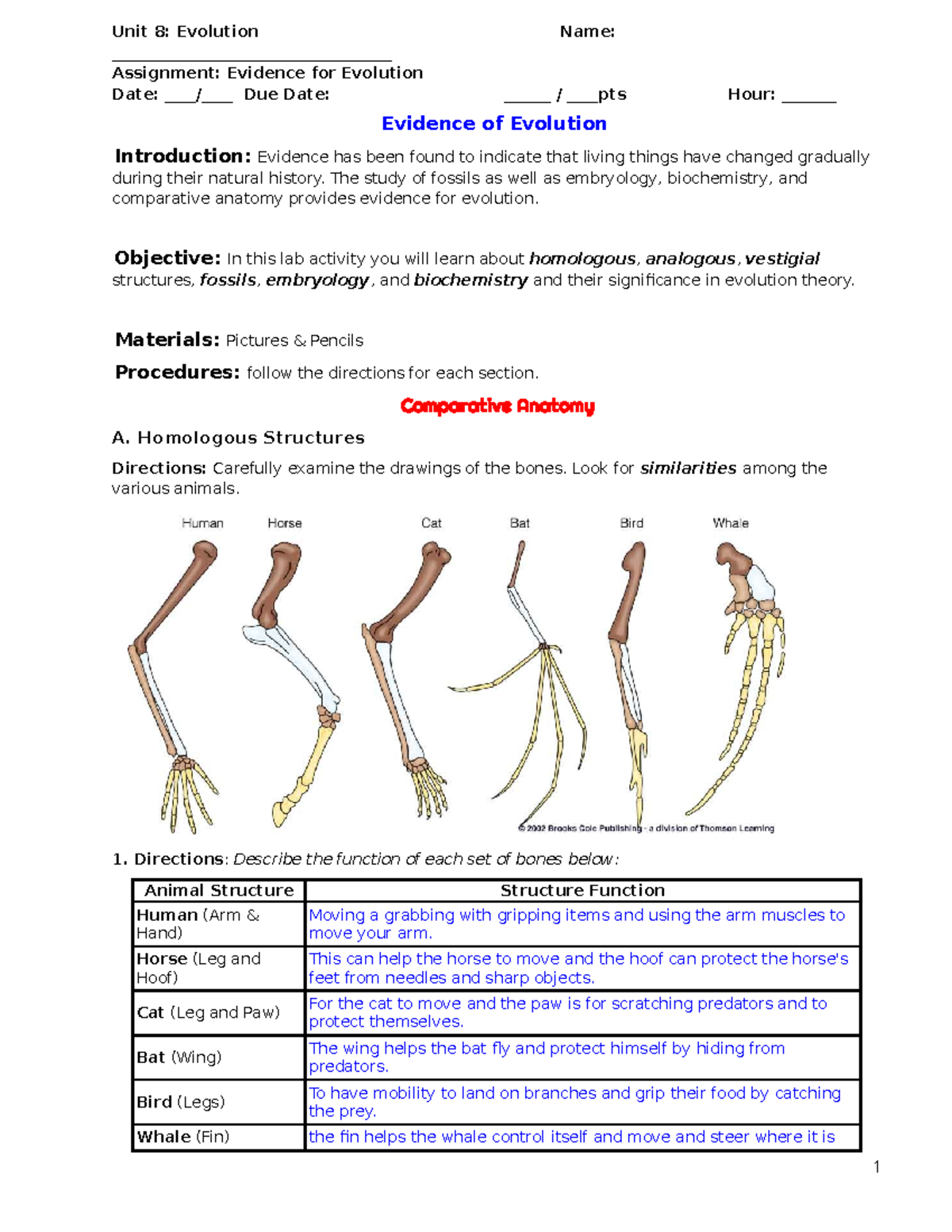 Evolutionary Evidence Assignment Fossils Anatomy Embryology Studocu Evolutionary Evidence Assignment Fossils Anatomy Embryology Studocu