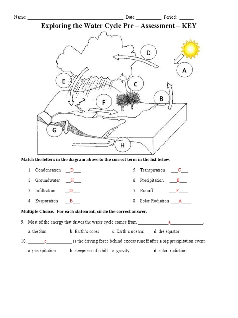 Exploring The Water Cycle Pre Post Assessment Key PDF Water Worksheets Library