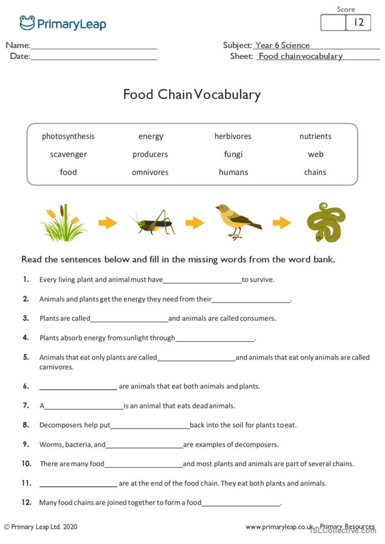 Food Chain Cloze Activity Creative W English ESL Worksheets Pdf Worksheets Library Food Chain Cloze Activity Creative W English ESL Worksheets Pdf Worksheets Library