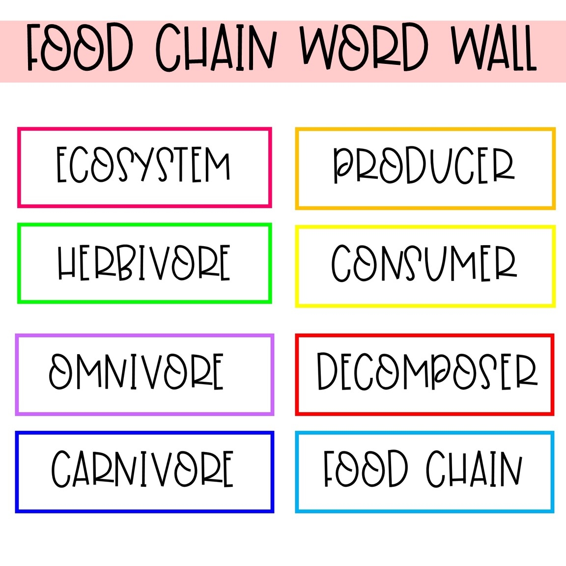 Food Chains And Food Webs Science Worksheets 2nd And 3rd Grade Made By Teachers
