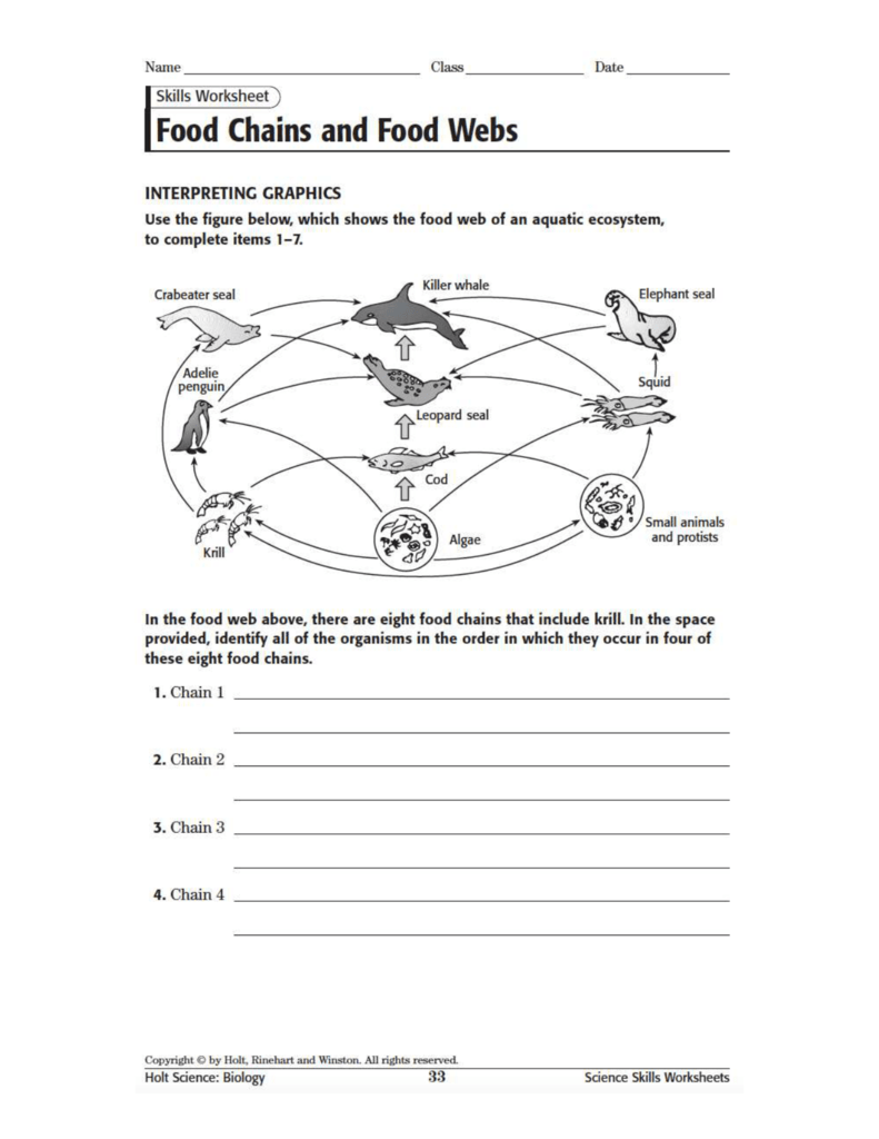 Food Chains And Food Webs Worksheet Aquatic Ecosystem Food Chains And Food Webs Worksheet Aquatic Ecosystem