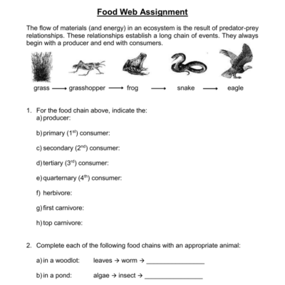 Food Chains Food Webs Worksheet Ecology For Middle School