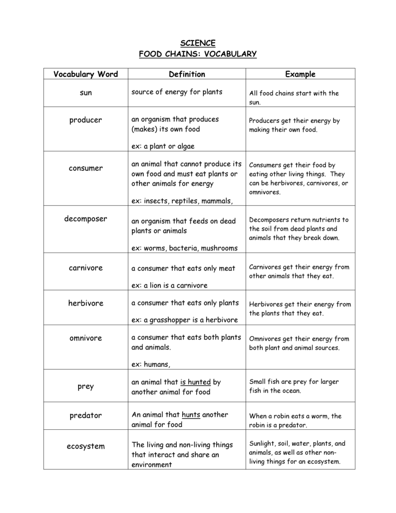Food Chains Vocabulary Science Terms Definitions