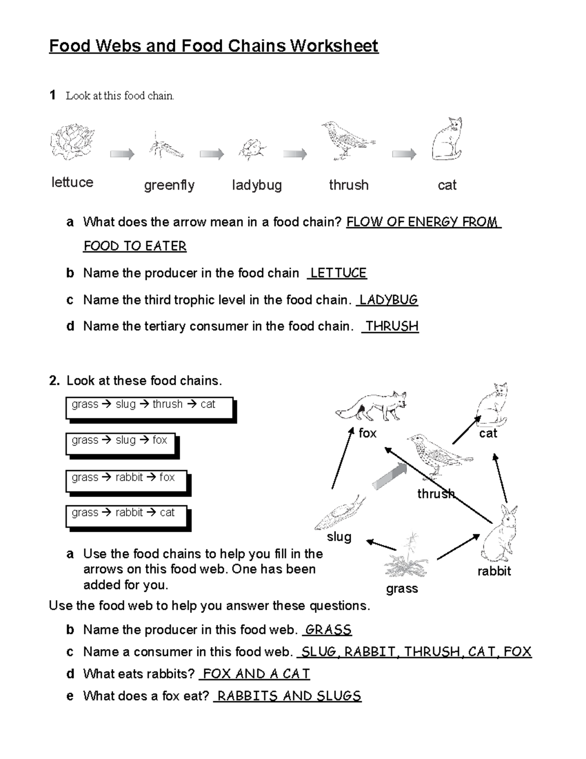 Food Webs And Food Chains Worksheet Key 11dbru5 Studocu Food Webs And Food Chains Worksheet Key 11dbru5 Studocu