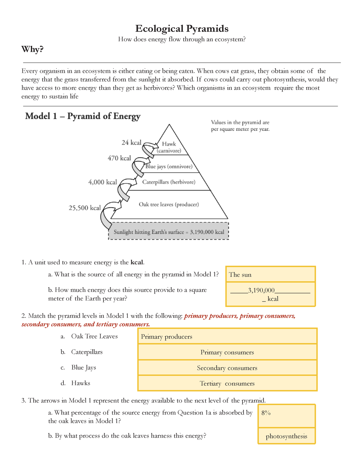Free Ecological Pyramids Worksheet Download Free Ecological Pyramids Worksheet Png Images Free Worksheets On Clipart Library Free Ecological Pyramids Worksheet Download Free Ecological Pyramids Worksheet Png Images Free Worksheets On Clipart Library