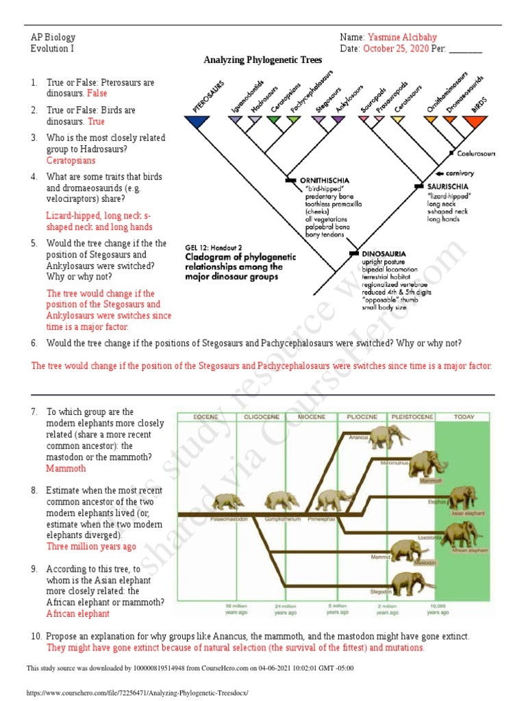 phylogeny review worksheet 2017 answers