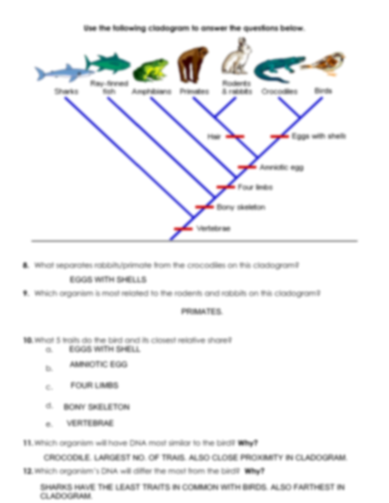 Free Phylogeny Worksheet Download Free Phylogeny Worksheet Png Images Free Worksheets On Clipart Library