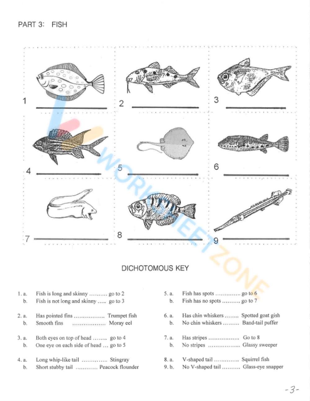 Free Printable Dichotomous Key Worksheet Collection Worksheets Library Free Printable Dichotomous Key Worksheet Collection Worksheets Library