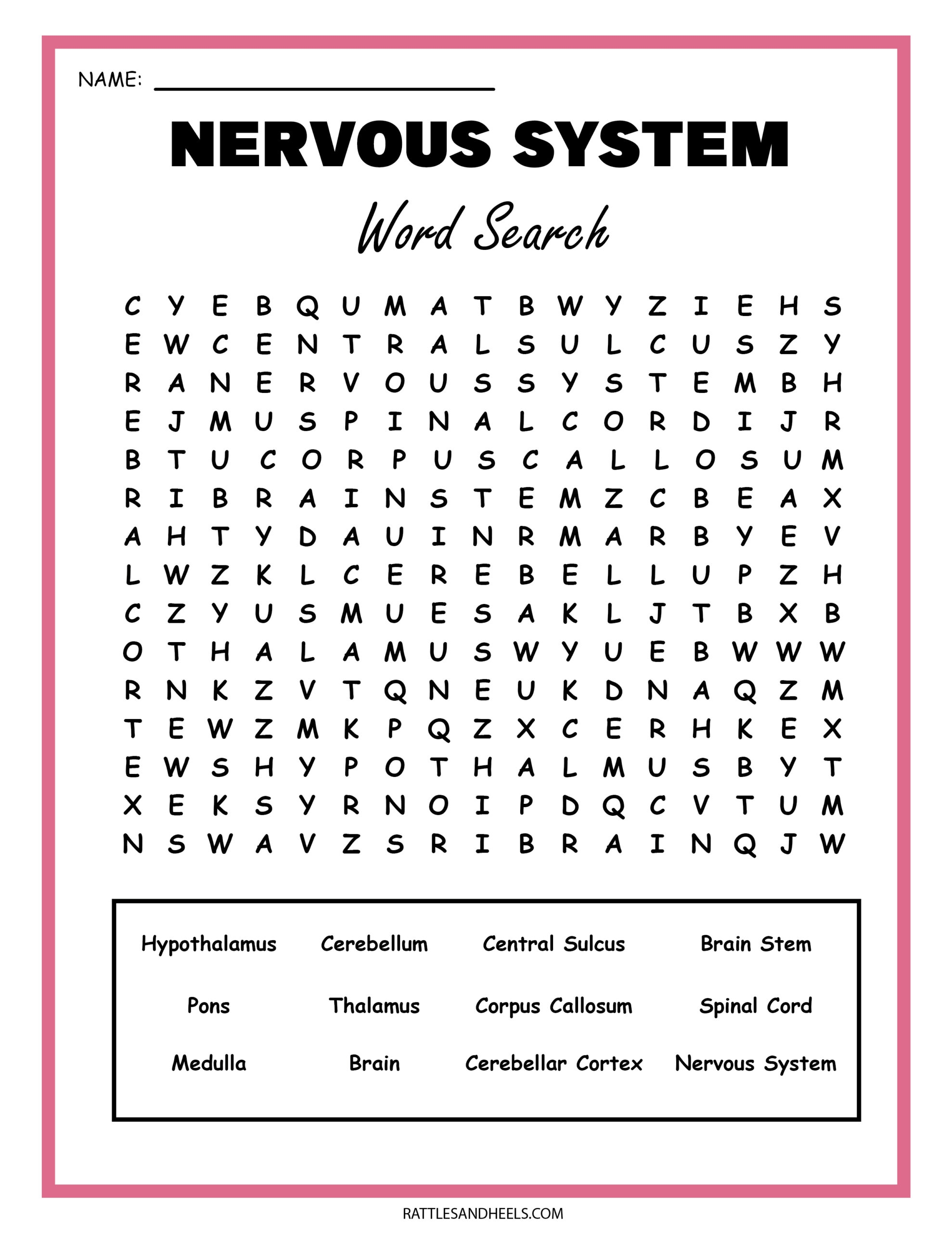 Free Science Worksheets The Nervous System Adanna Dill Free Science Worksheets The Nervous System Adanna Dill
