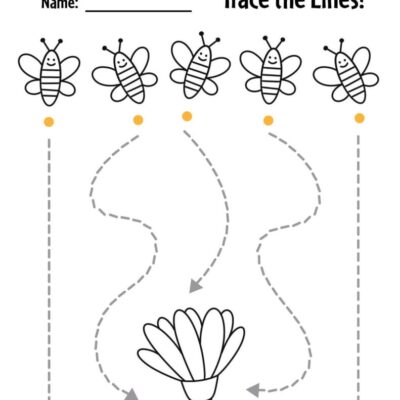 Free Trace The Line Worksheets For Preschool The Hollydog Blog
