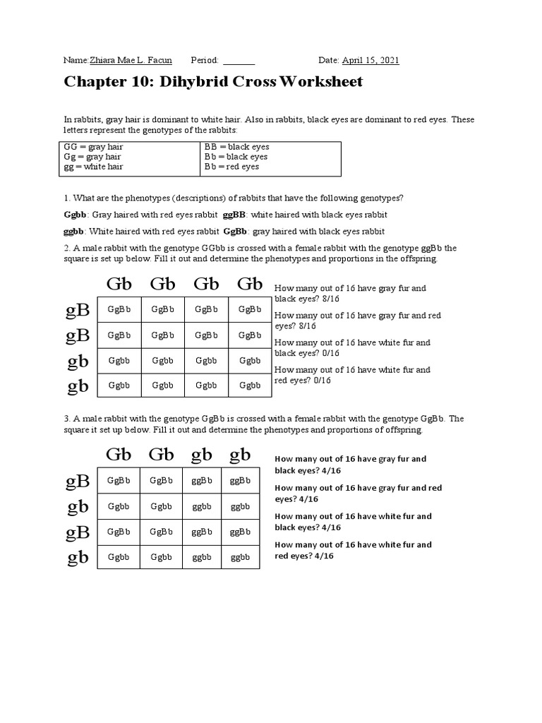 GBGBGBGB GB GB GB GB Chapter 10 Dihybrid Cross Worksheet PDF Worksheets Library